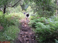 20080210-Bulli 086 